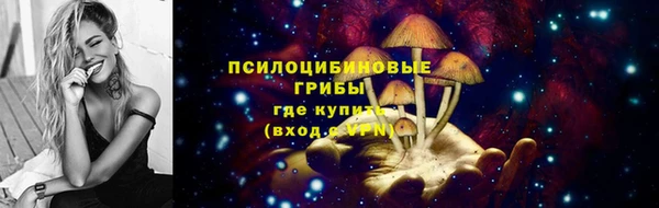 ECSTASY Белокуриха